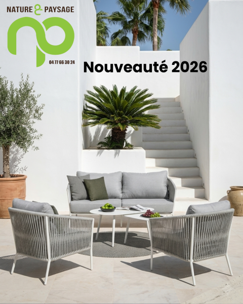 salon nicolazi 