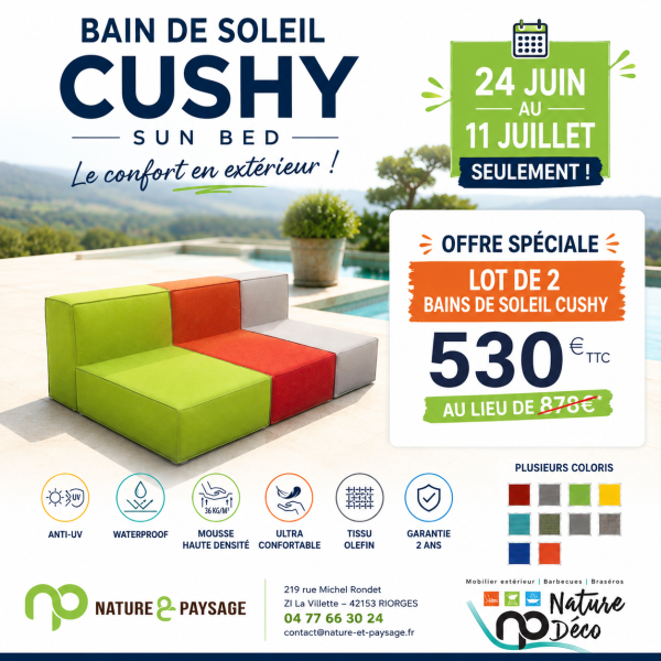 OFFRE CUSHY ROANNE 42