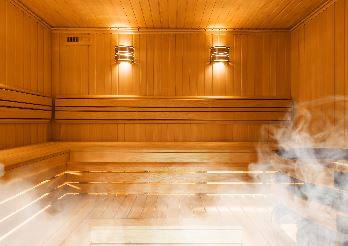 sauna traditionnel bois
