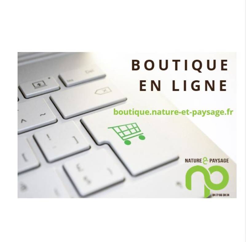 BOUTIQUE EN LIGNE 