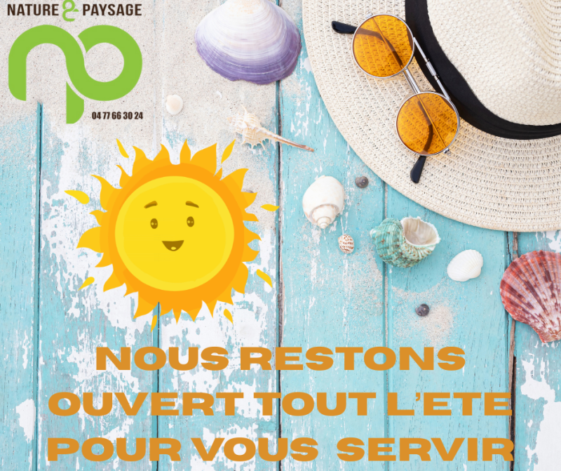 magasin ouvert été