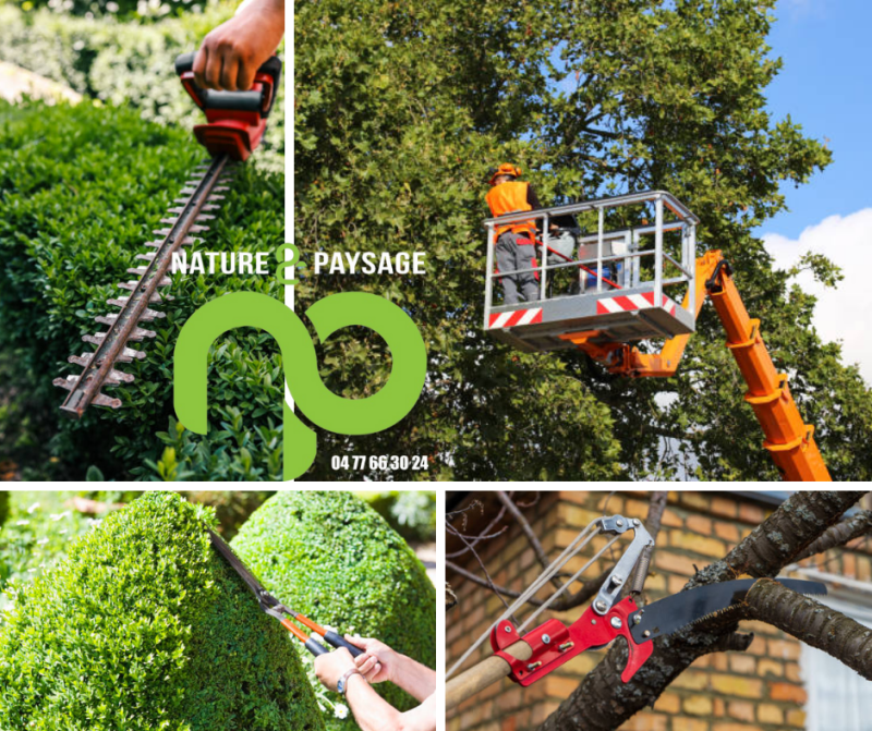 Faites tailler vos arbres et bénéficiez de 50 % de réduction grâce à la défiscalisation URSSAF !