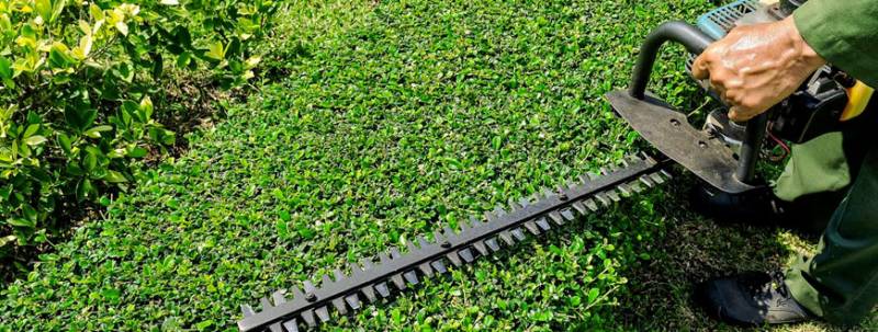 Professionnels à domicile pour l'entretien de jardin avec réduction fiscale et crédit d'impôt à Roanne