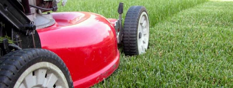 Professionnels à domicile pour l'entretien de jardin avec réduction fiscale et crédit d'impôt à Roanne